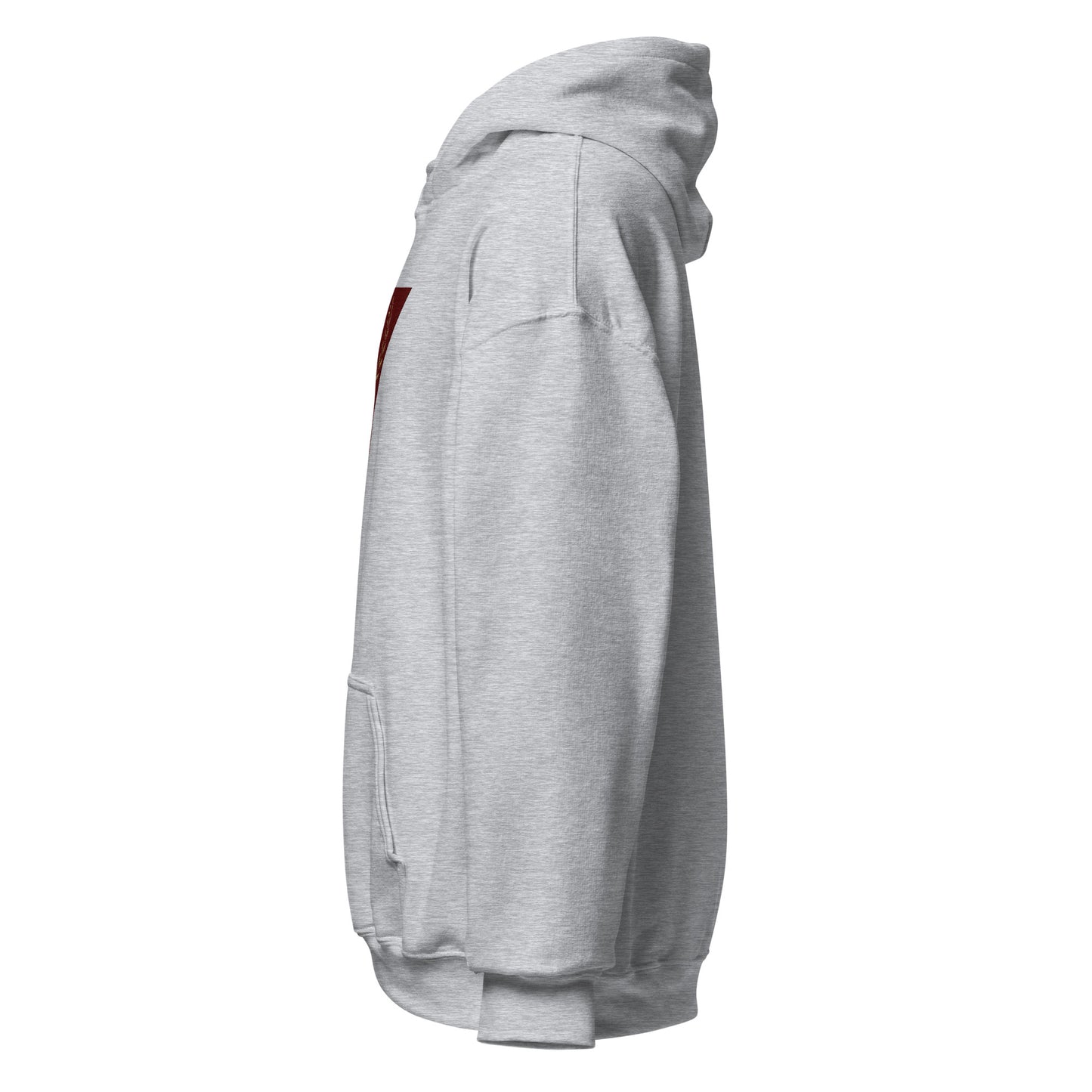 Nasr Victory Hoodie III