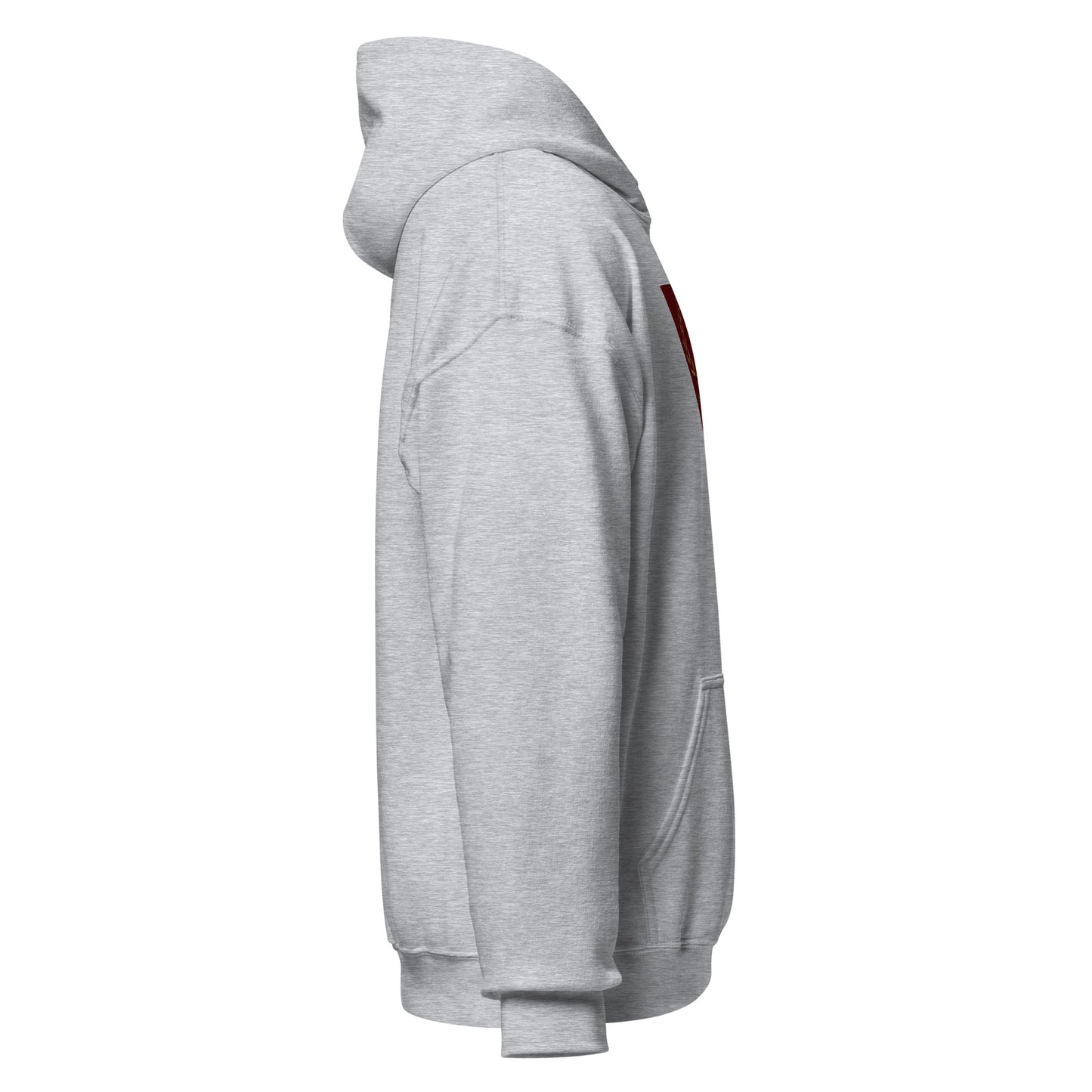 Nasr Victory Hoodie III