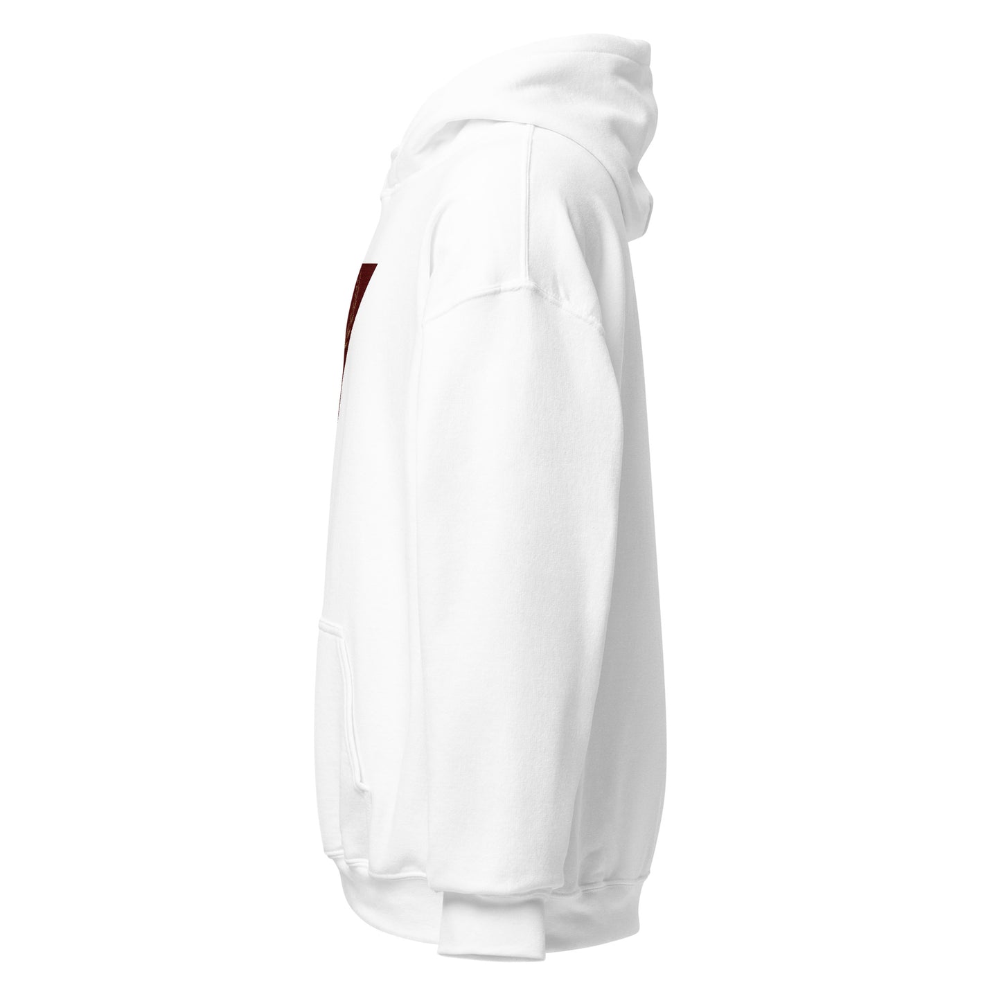 Nasr Victory Hoodie III